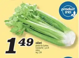 Marché Richelieu CÉLERI | CELERY offer