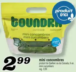 Marché Richelieu MINI CONCOMBRES | MINI CUCUMBERS offer