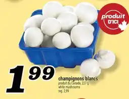 Marché Richelieu Champignons Blancs | White Mushrooms offer
