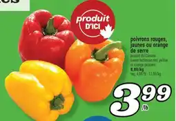 Marché Richelieu POIVRONS ROUGES, JAUNES OU ORANGE DE SERRE | SWEET HOTHOUSE RED, YELLOW OR ORANGE PEPPERS offer
