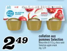 Marché Richelieu COLLATION AUX POMMES SELECTION | SELECTION APPLE SNACK offer