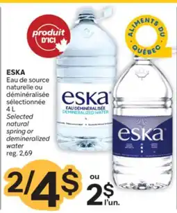 Brunet ESKA Eau de source naturelle ou déminéralisée offer