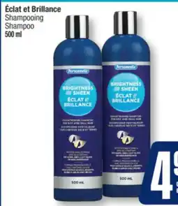 Jean Coutu Éclat et Brillance Shampoo offer