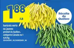 Maxi HARICOTS VERTS OU JAUNES offer