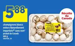 Maxi CHAMPIGNONS BLANCS ENTIERS NATURELLEMENT IMPARFAITS SANS NOM offer