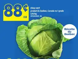Maxi CHOU VERT offer