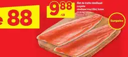 Maxi FILET DE TRUITE STEELHEAD | steelhead trout fillet offer