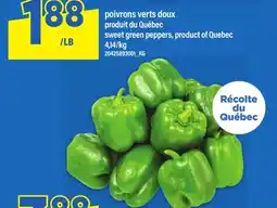 Maxi POIVRONS VERTS DOUX | sweet green peppers offer