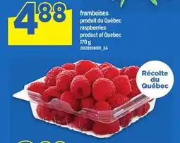 Maxi FRAMBOISES | raspberries offer