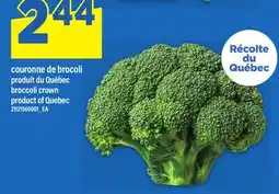 Maxi COURONNE DE BROCOLI | broccoli crown offer