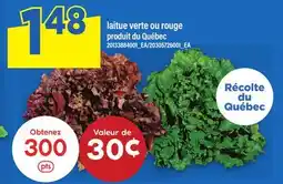 Maxi LAITUE VERTE OU ROUGE offer
