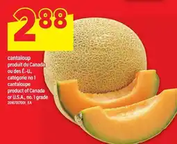 Maxi CANTALOUP | CANTALOUPE offer