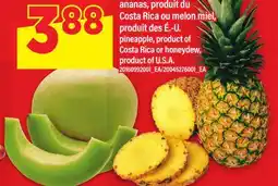 Maxi ANANAS | PINEAPPLE offer