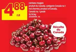 Maxi cerises rouges | red cherries offer
