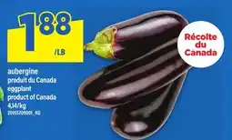 Maxi AUBERGINE | EGGPLANT offer