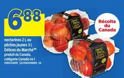 Maxi NECTARINES, 2 L OU PÊCHES JAUNES, 3 L DÉLICES DU MARCHÉ offer