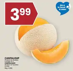 Rachelle-Bery Grocery CANTALOUP offer