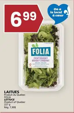Rachelle-Bery Grocery FOLIA LETTUCE offer