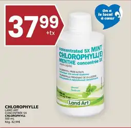 Rachelle-Bery Grocery CHLOROPHYLL LAND ART offer