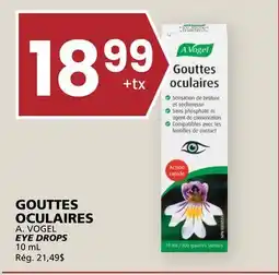 Rachelle-Bery Grocery A. VOGEL EYE DROPS offer