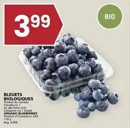 Rachelle-Bery Grocery ORGANIC BLUEBERRIES offer