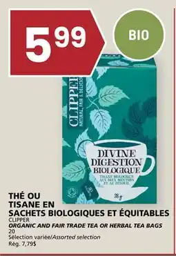 Rachelle-Bery Grocery ORGANIC AND FAIR TRADE TEA OR HERBAL TEA BAGS offer