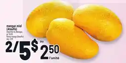 Metro MANGUE MIEL (ATAULFO) | HONEY MANGO (ATAULFO) offer
