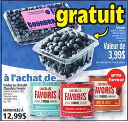Metro FONDUE AU CHOCOLAT CHOCOLATS FAVORIS | CHOCOLATS FAVORIS CHOCOLATE FONDUE offer