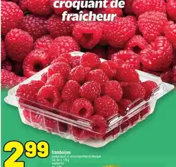 Metro FRAMBOISES | RASPBERRIES offer
