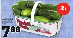 Metro CORNICHONS FRAIS | FRESH DILL PICKLING CUKES offer