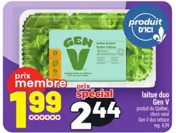 Metro LAITUE DUO GEN V | GEN V DUO LETTUCE offer
