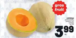 Metro CANTALOUP | CANTALOUPE offer