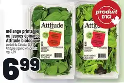 Metro MÉLANGE PRINTANIER OU JEUNES ÉPINARDS ATTITUDE BIOLOGIQUE offer