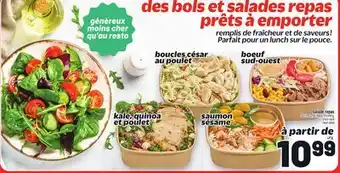 Metro SALADE REPAS | MEAL SALAD offer