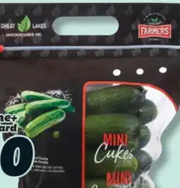 IGA SEEDLESS MINI CUCUMBERS offer