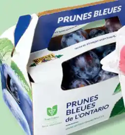 IGA BLUE PLUMS offer