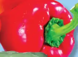 IGA FAVA BEANS, SWEET YELLOW, ORANGE OR RED PEPPERS offer