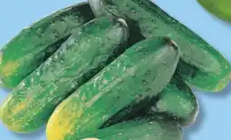 IGA CUCUMBERS FOR MARINATING offer