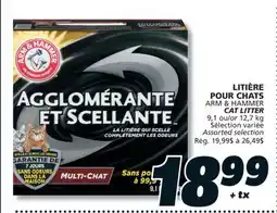 IGA ARM & HAMMER CAT LITTER offer