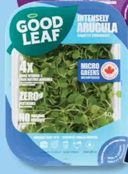 IGA GOOD LEAF LETTUCE OR LETTUCE MIX offer