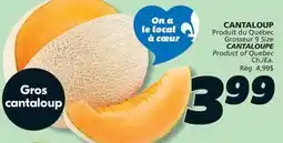IGA CANTALOUPE offer