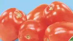 IGA ROMA ITALIAN TOMATOES offer