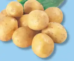 IGA CUCUMBERS FOR MARINATING OR SMALL YELLOW, RED OR WHITE POTATOES offer