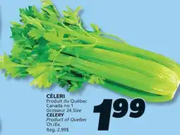 IGA CELERY offer
