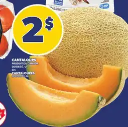 Provigo CANTALOUPS | CANTALOUPES offer