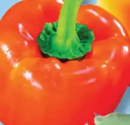 IGA ORANGE PEPPERS offer