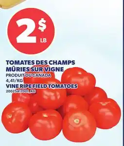 Provigo TOMATES DES CHAMPS MÛRIES SUR VIGNE | VINE RIPE FIELD TOMATOES offer