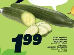 IGA ORGANIC SEEDLESS CUCUMBER offer
