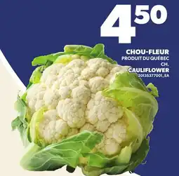Provigo CHOU-FLEUR | CAULIFLOWER offer