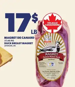 Provigo MAGRET DE CANARD | DUCK BREAST MAGRET offer